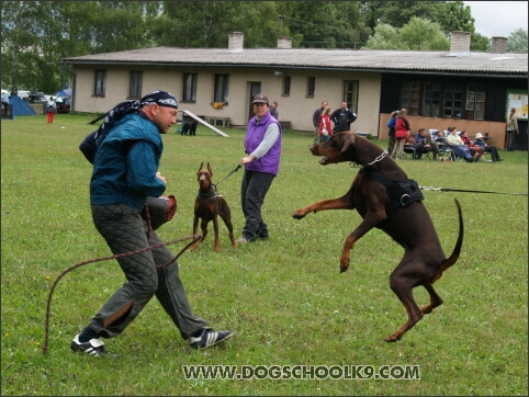 Training camp - Lukova 2007